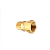 Fitting Adaptor, Brass, Female Swivel X Mpt