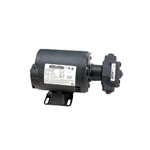 Pump/Motor Assembly, 240V, 5Gpm, 1/3Hp