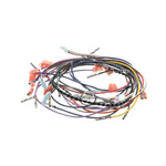 Wiring,Fr Pnl Bzl Rh/Dvi 18,E18-2