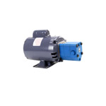 Pump/Motor Assembly, .5Hp, 115/230V, 60Hz